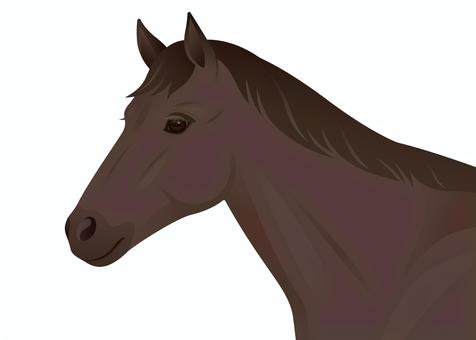 馬イラスト黒鹿毛 馬,かっこいい,スタイリッシュ,優しい,目,顔,瞳,たてがみ,毛並み,午年のイラスト素材