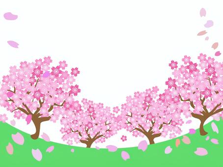 Cherry blossom trees, , JPG, PNG and AI