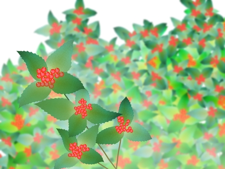 千両 植物,和,和風,正月,縁起物,葉,新年,イラスト,年賀状,背景のイラスト素材