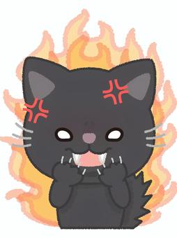 黒猫ブチ切れ 黒猫,ブチ切れ,切れる,怒る,激怒,激高,憤怒,炎,爪,イライラのイラスト素材