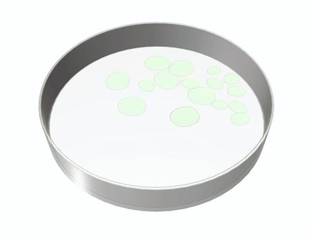 シャーレで培養 シャーレ,培養,菌,ペトリ皿,容器,実験,研究,増殖,培地のイラスト素材