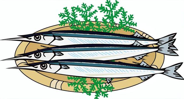 ざるに盛ったさより さより,魚,魚類,食材,食べ物,ざるのイラスト素材