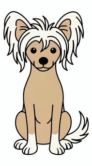 お座りするチャイニーズクレステッドドッグ チャイニーズクレステッドドッグ,お座り,小型犬,ヘアレス,ペットのイラスト素材