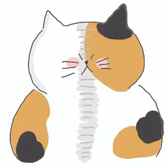 圧をかける三毛猫ちゃん 三毛猫,かわいい,圧,圧力,怖い,怒る,不満,不服,文句,不機嫌のイラスト素材