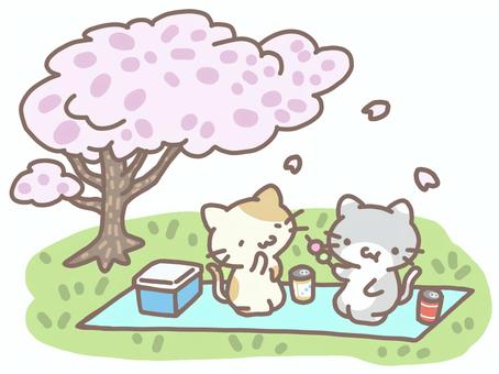 素敵なお花見タイム 素敵なお花見タイム 猫,仲良し,友達のイラスト素材