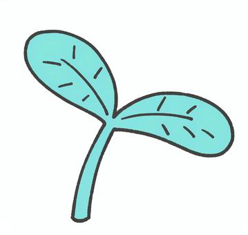 双葉の手描きイラスト 双葉の手描きイラスト 双葉,葉っぱ,芽,自然,可愛い,手描き,挿絵,植物,シンプルのイラスト素材
