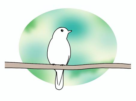 鳥　動物 鳥,動物,pop調,手描き,挿絵,ワンポイント,素材,商用可,無料,フリーのイラスト素材