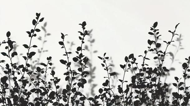 白黒のシルエットの植物の素材 白黒のシルエットの植物の素材 背景,植物,シルエットのイラスト素材