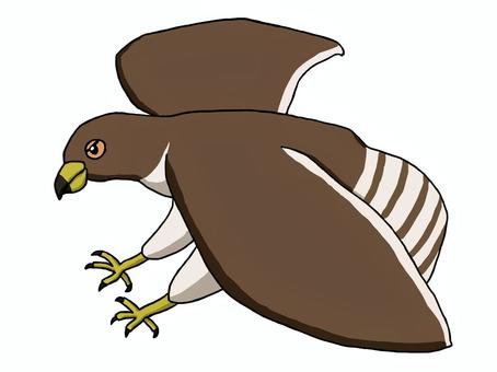 デフォルメされたタカ タカ,鷹,デフォルメ,生き物,動物,鳥,鳥類,猛禽,全身,一羽のイラスト素材