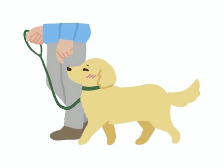 犬のしつけ シンプル版（ついて） 犬,しつけ,シンプル,命令,ついて,散歩,飼い主,リード,嬉しい,楽しいのイラスト素材