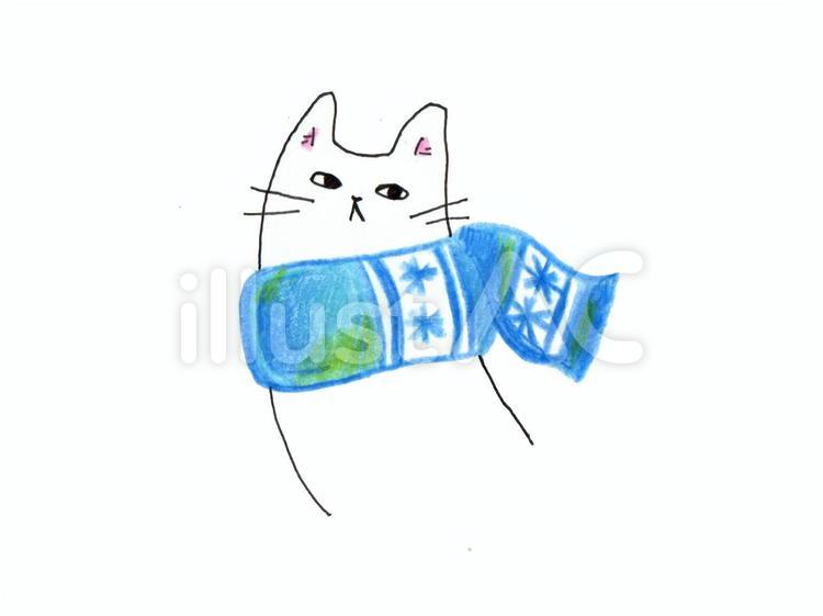 【手書き】マフラーをした猫のイラスト 猫,マフラー,手書きのイラスト素材