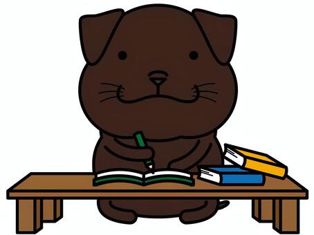 チョコラブさん 勉強 宿題,勉強,チョコラブ,ラブラドール,ラブラドールレトリバー,机,本,ノート,教科書,鉛筆のイラスト素材