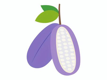 アケビ シンプル,かわいい,ベクター,中身,半分,くき,タネ,たね,茎,むらさきのイラスト素材