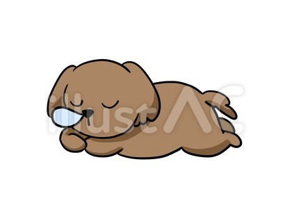 寝る犬