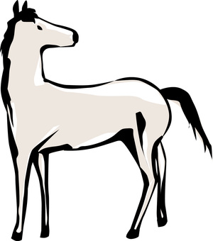 白馬　  白馬,野生,動物,振り向く,横向き,和,筆絵のイラスト素材