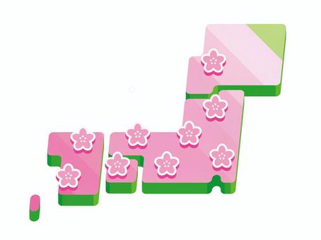 Illustration, cherry blossom front, cherry blossoms, japanese archipelago, 