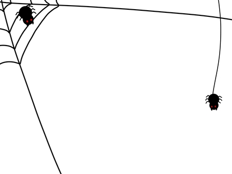 spiderweb, spiderweb, spider, halloween, menakoni,