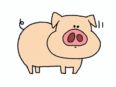 Illustration, a pig, cute, animal, 