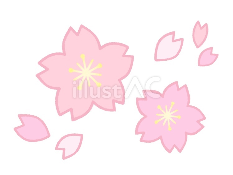 桜 桜,花,自然のイラスト素材
