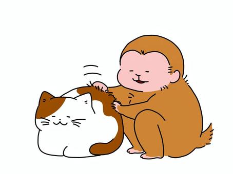猫の毛繕いをする猿 猫,猿,動物,手書き,かわいい,ゆるいのイラスト素材