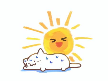 太陽とバテる猫 太陽,猫,白猫,バテる,暑い,夏,日光,汗,疲れのイラスト素材