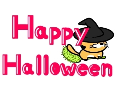 happy halloween cat, JPG and PNG happy halloween cat, วันฮาโลวีน, แมว, setaria, JPG and PNG