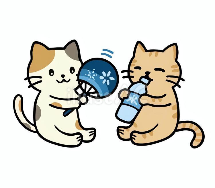 うちわを扇ぐミケネコと水分補給する猫 猫,水,夏のイラスト素材