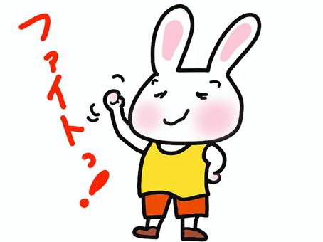 Illustration, rabbit, support, tank top, 