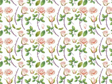 Hand drawn rose wallpaper / background pink, rose, rose, petal, JPG and PNG