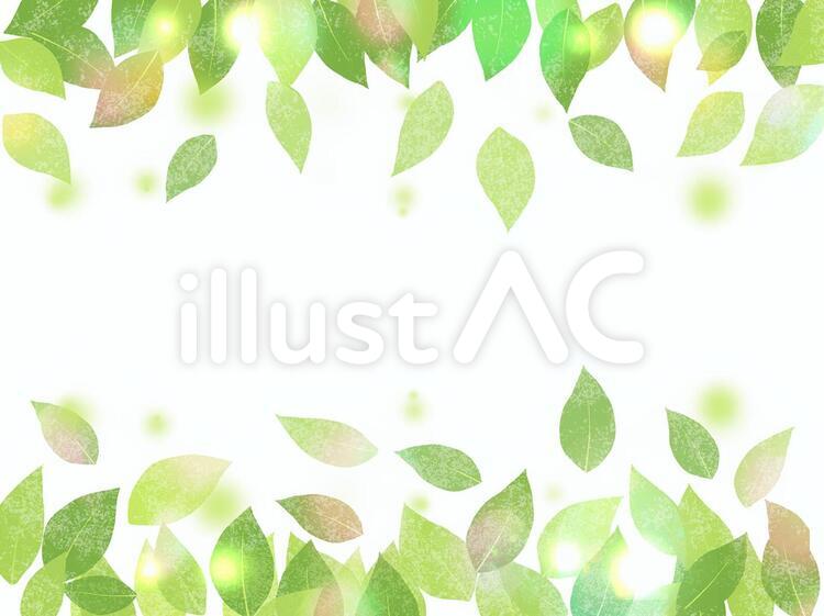 新緑 05 新緑,初夏,若葉のイラスト素材