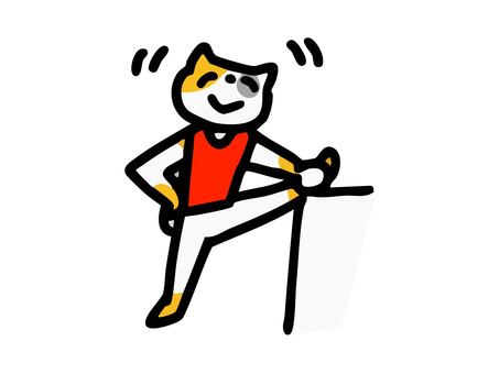 ゼッケンをつけて準備体操するネコ ネコ,三毛猫,ゼッケン,準備運動,体操,運動,ストレッチ,スポーツ,運動会,マラソンのイラスト素材