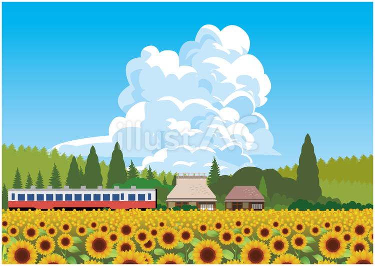 夏のひまわり畑風景 夏,夏季,ひまわりのイラスト素材