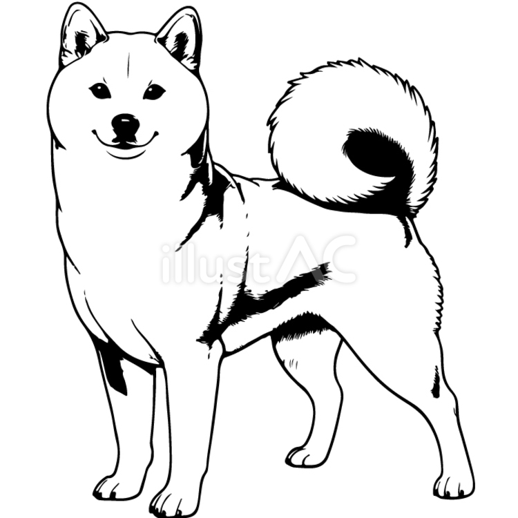 絵　犬 ドッグウィズパイナップル 80x80cm アート ｜【KARE】ドイツの
