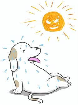 酷暑で夏バテ 夏,酷暑,猛暑,夏バテ,熱中症,犬,動物のイラスト素材