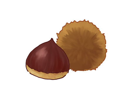 Illustration, chestnut, autumn, dagger, 