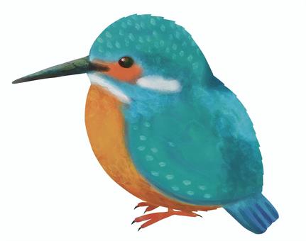 カワセミちゃん 鳥,野鳥,可愛い,動物,水彩,手書き,バードウォッチングのイラスト素材