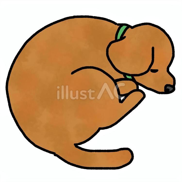 昼寝する犬2 犬,茶色,ポーズのイラスト素材