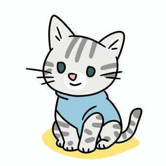 ロンパースを着た猫ちゃん 猫,ネコ,ねこ,子猫,サバトラ,アメリカンショートヘアー,アメショ,保護猫,野良猫,ペットのイラスト素材