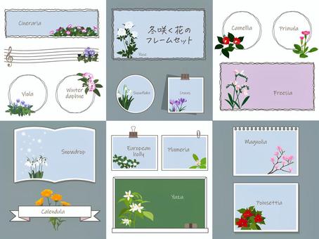 冬咲く花のフレームセット 冬咲く花のフレームセット 植物,ボタニカル,花,フラワー,葉,フレーム,グリーティング,メッセージ,ノート,メモのイラスト素材