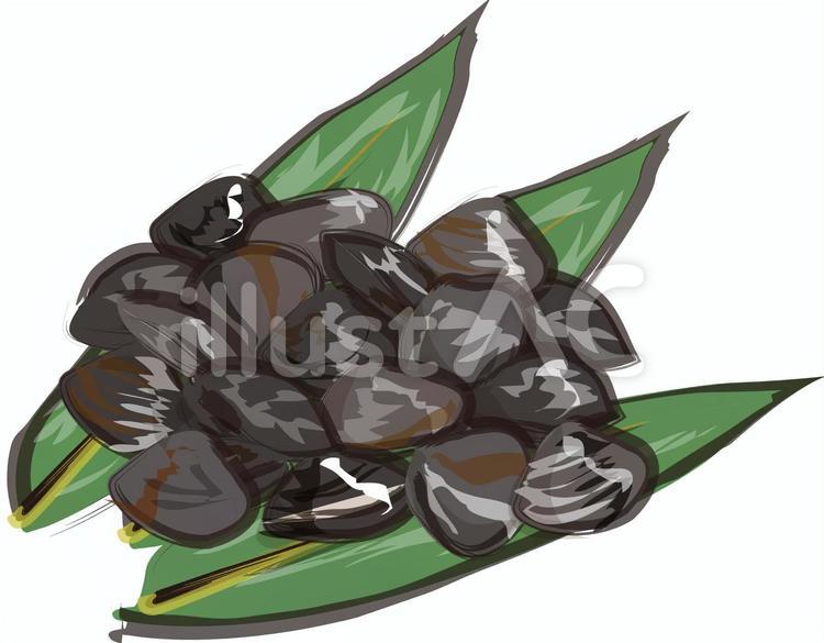 しじみ　笹付き 貝,貝類,居酒屋のイラスト素材