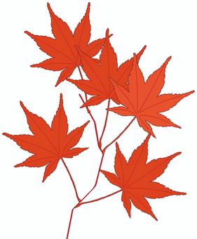 紅葉の枝 紅葉,もみじ,楓,秋,枝,葉,植物,挿絵,オレンジ,イラストのイラスト素材