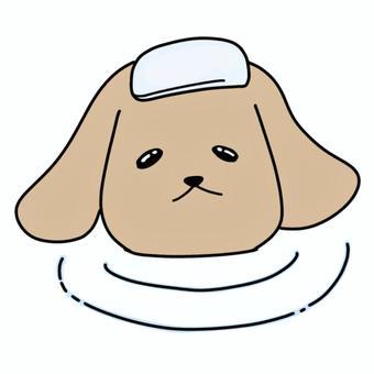 温泉の犬 お風呂,風呂,温泉,湯気,ポカポカ,お湯,湯船,洗う,体洗い,丸洗いのイラスト素材