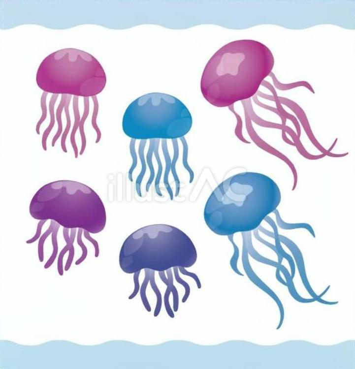 くらげ くらげ,海,アクアリウムのイラスト素材