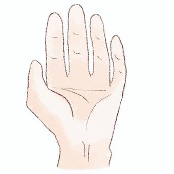 左手　内側 手,左,内側,指,水彩,鉛筆のイラスト素材