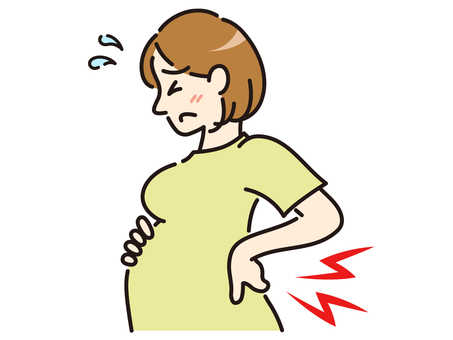 腰痛　妊婦-カラー 妊娠中,妊婦,腰痛,腰,妊娠後期,骨盤,辛いのイラスト素材