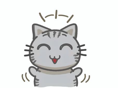 Animals that react, पशु, और प्यारा, पहचानना, JPG and PNG