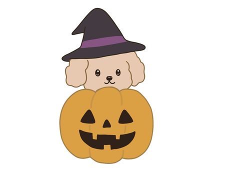 かぼちゃと魔女プードル 犬,いぬ,プードル,トイプードル,魔女帽子,かぼちゃ,ジャックオーランタン,ハロウィン,秋,季節素材のイラスト素材
