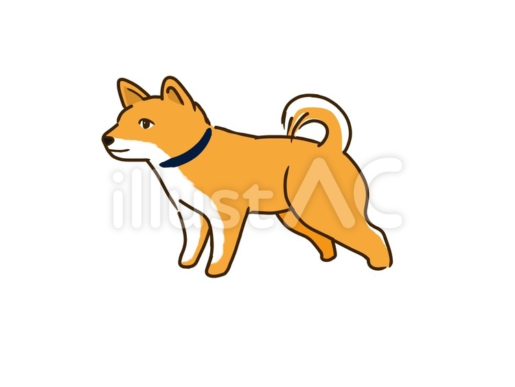 仔犬 仔犬,犬,ペットのイラスト素材
