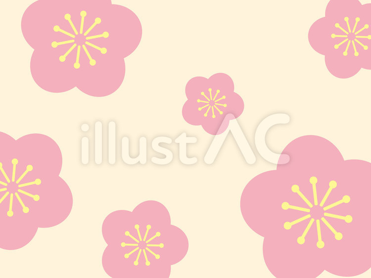 梅の花　背景 梅,花,満開のイラスト素材