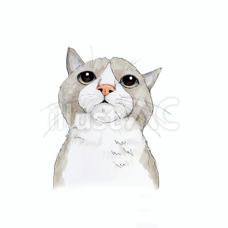 見上げる猫イラスト - No: 22058495｜無料イラスト・フリー素材